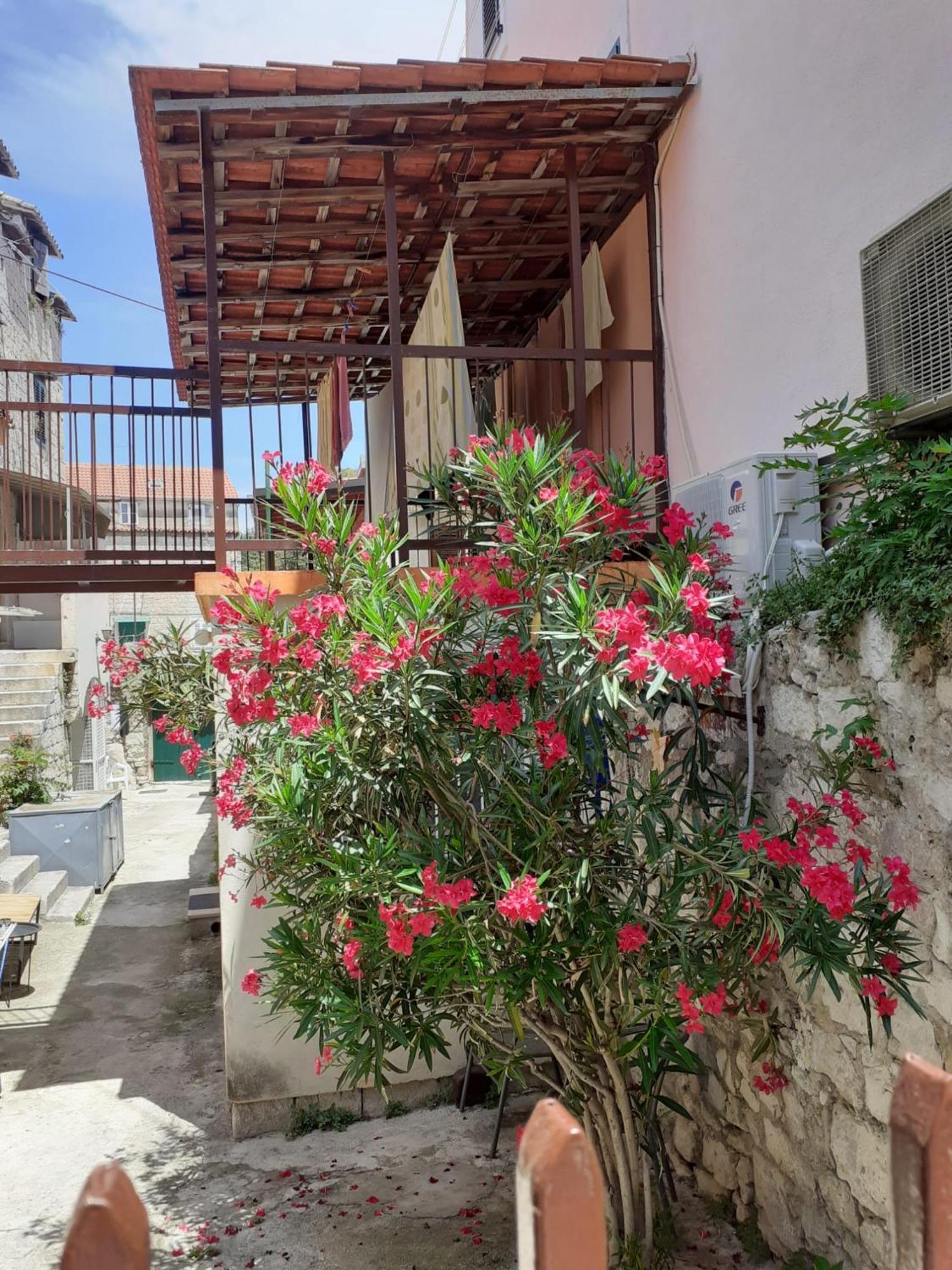 Oleander Apartments Split Eksteriør bilde